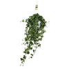 Plant Hedera Helix Pitsburg - Hang/XXL - Ø17cm - ↕90cm