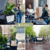 Plant Voordeelset 2 Mexicaanse Bergpalmen - Chamaedorea Elegans