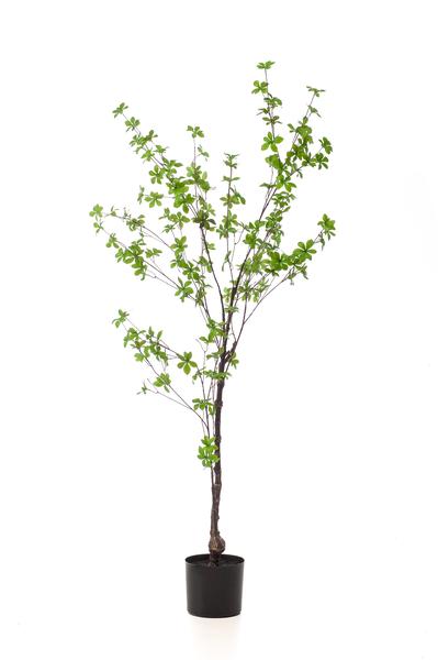 Plant Kunstplant - Oost Indische Kers - 150 cm -Tropaeolum Speciosum