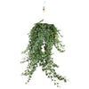 Plant Hangplant Hedera Helix Pitsburg - Hang/XXL - Ø24cm - ↕70 cm
