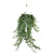Plant Hangplant Hedera Helix Pitsburg - Hang/XXL - Ø24cm - ↕70 cm