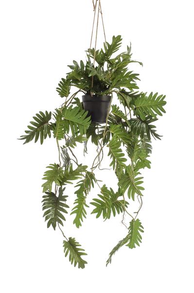 Plant Philodendron hangkunstplant - 80 cm