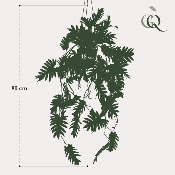 Plant Philodendron hangkunstplant - 80 cm