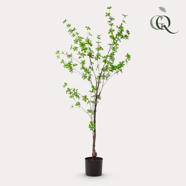 Plant Kunstplant - Oost Indische Kers - 150 cm -Tropaeolum Speciosum