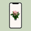 Plant Roze flamingoplant Ø17cm - ↕55cm - Anthurium Karma Joli