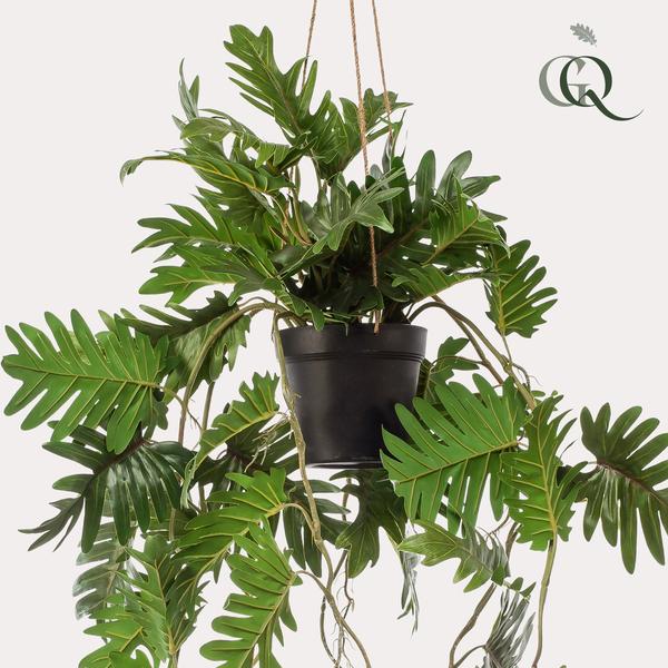 Plant Philodendron hangkunstplant - 80 cm