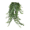Plant Hangplant Hedera Helix Pitsburg - Hang/XXL - Ø24cm - ↕70 cm