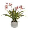 Plant Kunstplant Orchidee - Bordeaux - 45cm