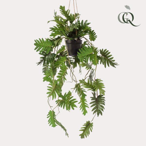 Plant Philodendron hangkunstplant - 80 cm