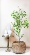 Plant Kunstplant - Oost Indische Kers - 150 cm -Tropaeolum Speciosum