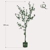 Plant Kunstplant - Oost Indische Kers - 150 cm -Tropaeolum Speciosum