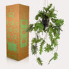 Plant Philodendron hangkunstplant - 80 cm