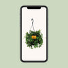 Plant Parthenocissus Striatha Hangplant - Ø15cm - ↕15cm - Virginia Creeper