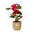 Plant Rode Anthurium in stijlvolle gele pot - (hoogte tot 40cm)
