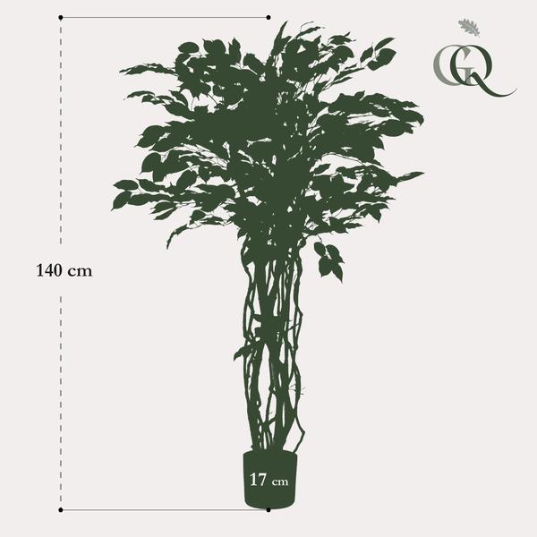Plant Vioolbladkunstplant - Ficus liana - 140cm